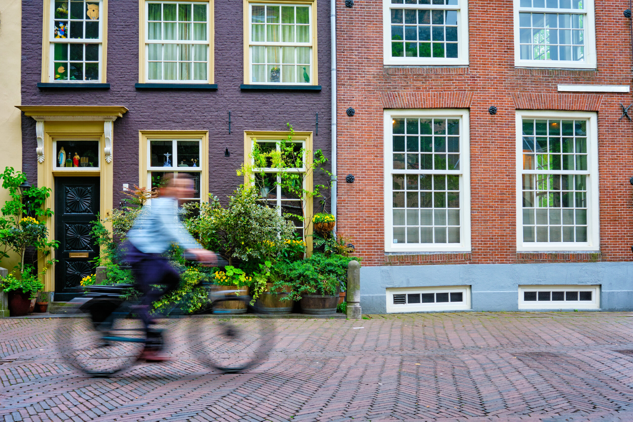 Geur en waarneming